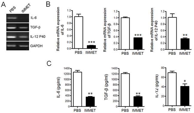 Immethridine could inhibit the cytokine secretion in BMDCs.