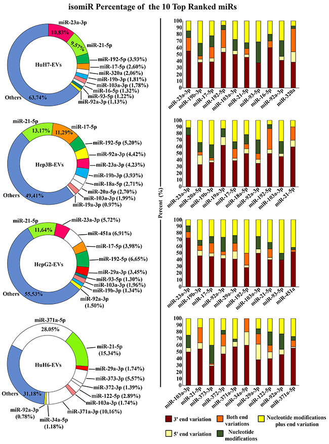 isomiRs of the 10 most abundant miRNAs.