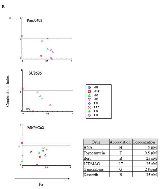 Combination index plot of HNA and toyocamycin with four different drugs (bortezomib, 17-DMAG, gemcitabine, dasatinib).