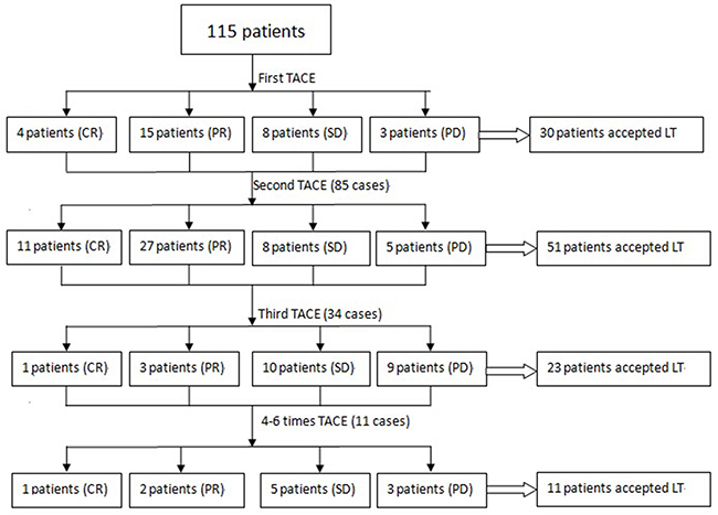 The majority of patients received TACE twice (51 patients), although TACE was administered once in 30 patients, three times in 23 patients, and more than three times in 11 patients.