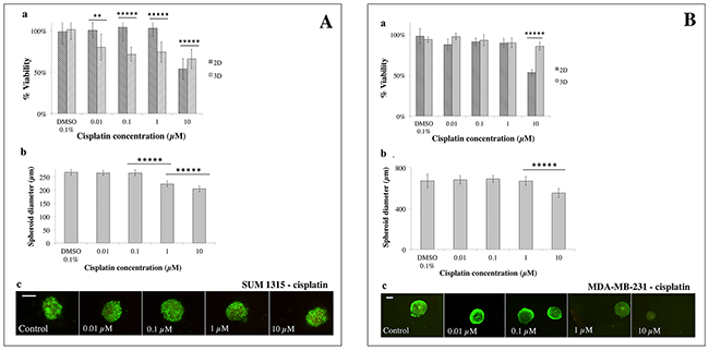 2D vs 3D cell culture sensitivity to cisplatin.