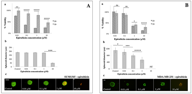 2D vs 3D cell culture sensitivity to epirubicin.