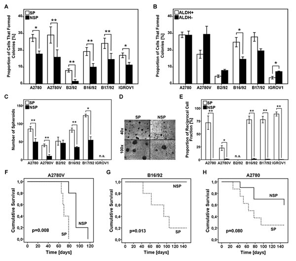 Analysis of SP and ALDH