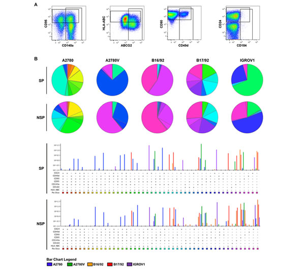 SPICE analysis of ovarian cancer heterogeneity.