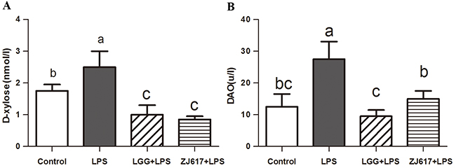 Effect of Lactobacillus rhamnosus GG (LGG) and Lactobacillus reuteri ZJ617 (ZJ617) on LPS-induced intestinal integrity.