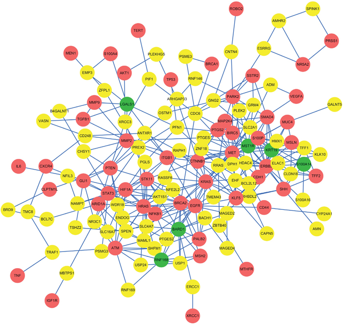 The subnetwork extracted by limited k-walks algorithm.