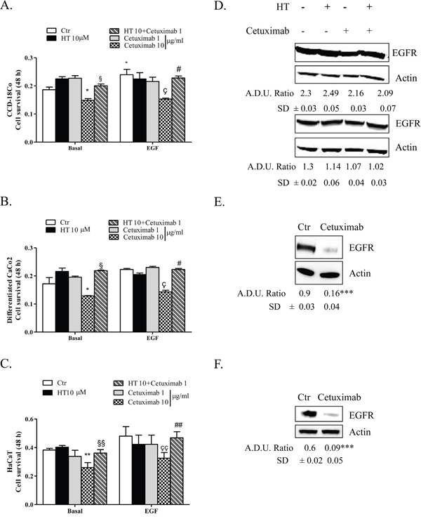 HT-cetuximab combination reduces side effects of cetuximab treatment in colorectal cancer.