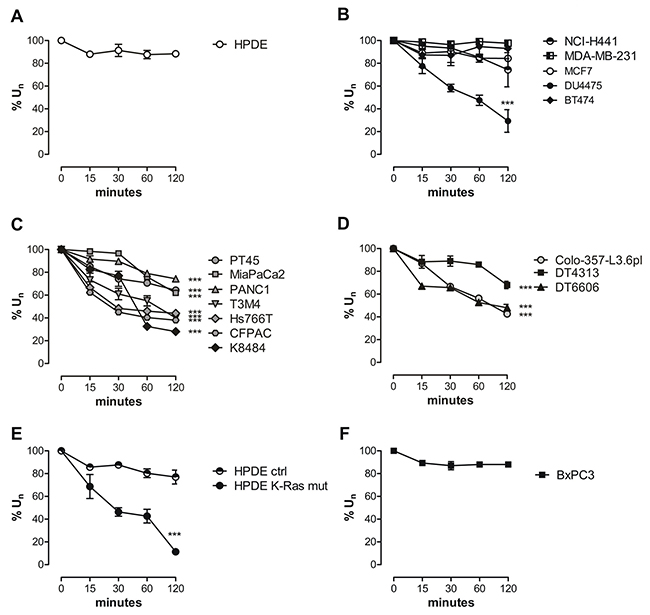 PDAC cells exhibit an increased in vitro glutamine uptake.