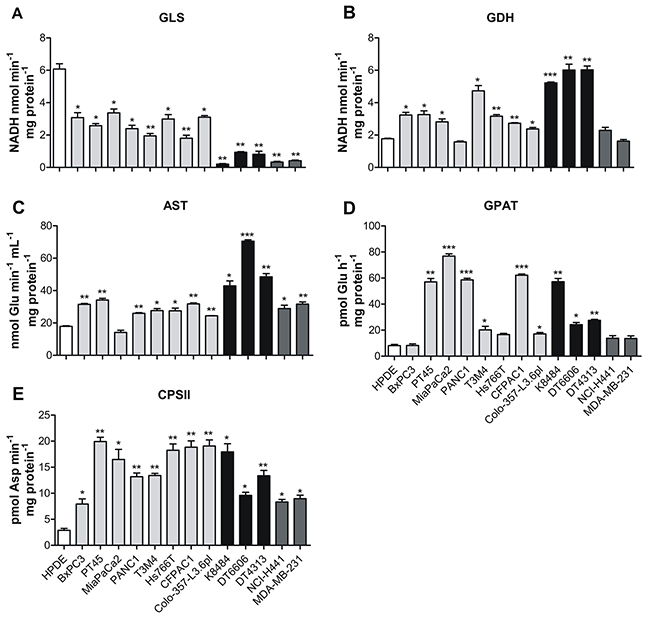 PDAC cells rely on glutamine to support nucleotide biosynthesis.