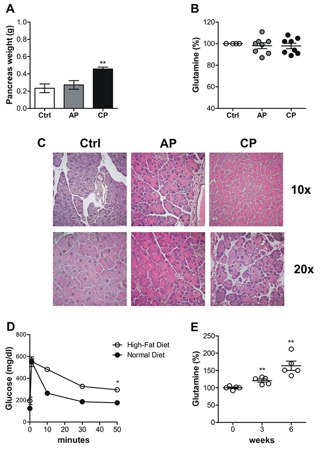 The decrease in circulating glutamine does not correlates with inflammation.