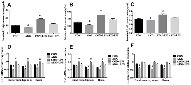 Effects of AKG administration on the concentration and mRNA expression of intestinal inflammatory cytokines in the early-weaning piglets.