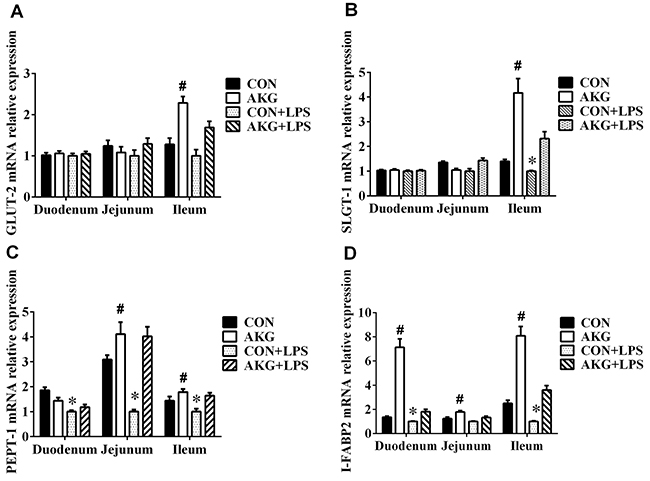 Effects of AKG administration on the mRNA expression of nutrient-sensing transporters in the small intestine of piglets.