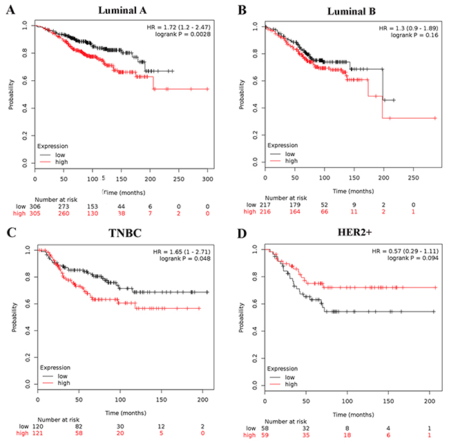 Association of MMP1 with different molecular subtypes of BC patients.