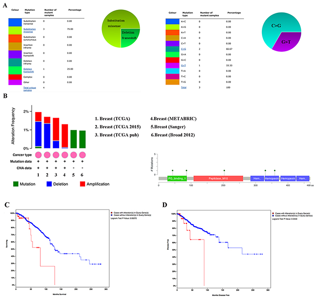 MMP1 genes expression and mutation analysis in breast invasive carcinoma (COSMIC and cBioPortal).