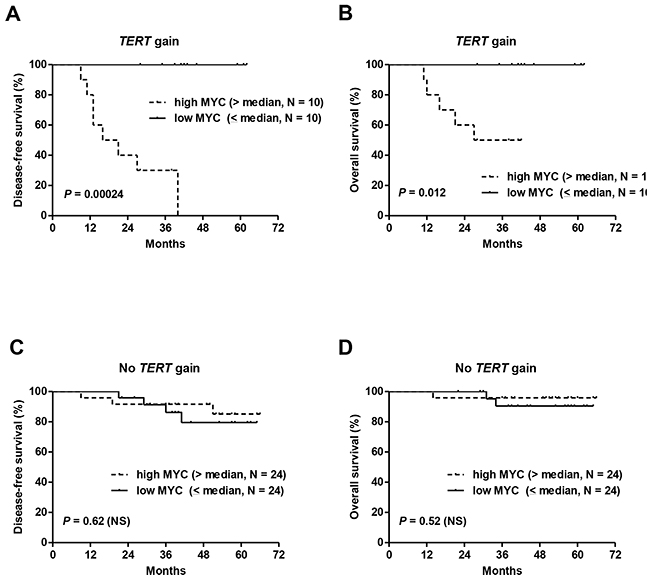 The combination of TERT gene copy number gains and MYC overexpression was associated with the shortest DFS and OS in cohort #1.