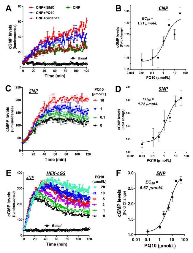 PDE10 inhibition elevates intracellular cGMP levels in NSCLCs as determined by a biosensor assay.
