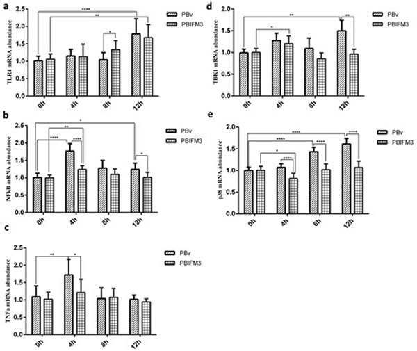 Effect of swine IFITM3 on the expression of components of the TLR4 signaling pathway.