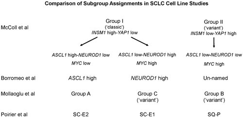 Comparison of SCLC subgroups among multiple studies.