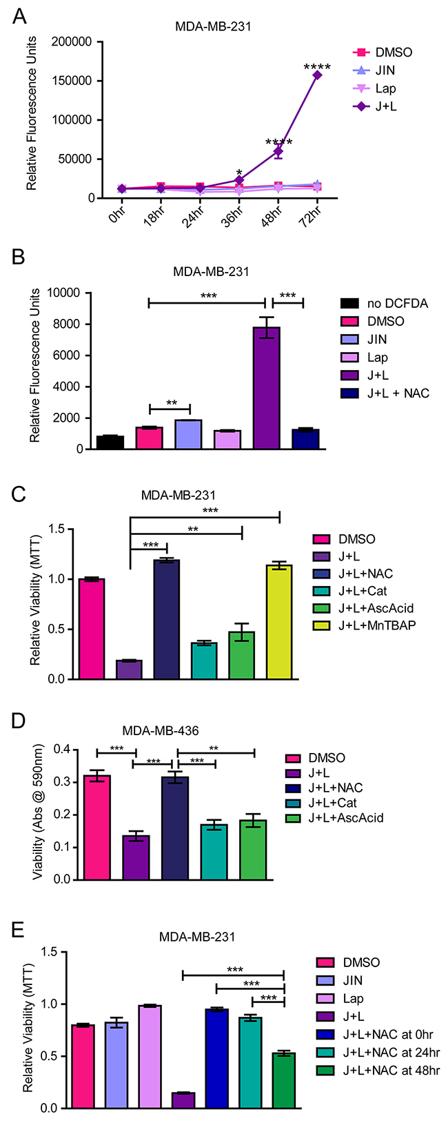 JNK-IN-8 and Lapatinib Cause Cell Death by Increasing Reactive Oxygen Species.