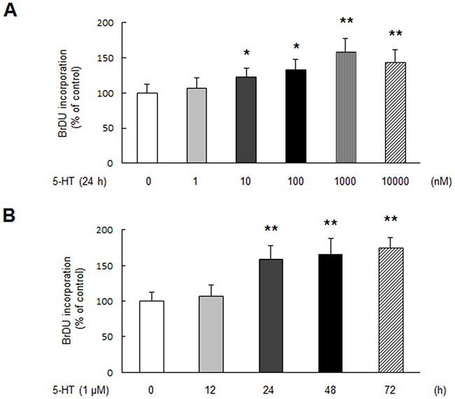 5-HT stimulates PASMCs proliferation.