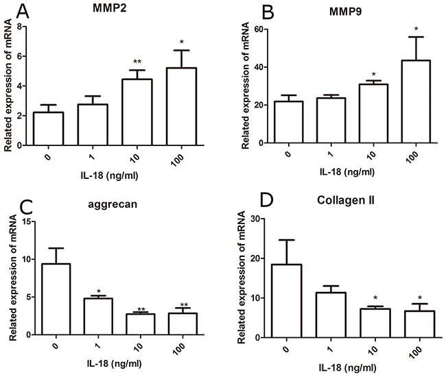 Up-regulation of matix-degrading enzyme genes and down-regulation of chondrocyte-specific genes at mRNA level caused by IL-18 were observed in SD rat chondrocytes.