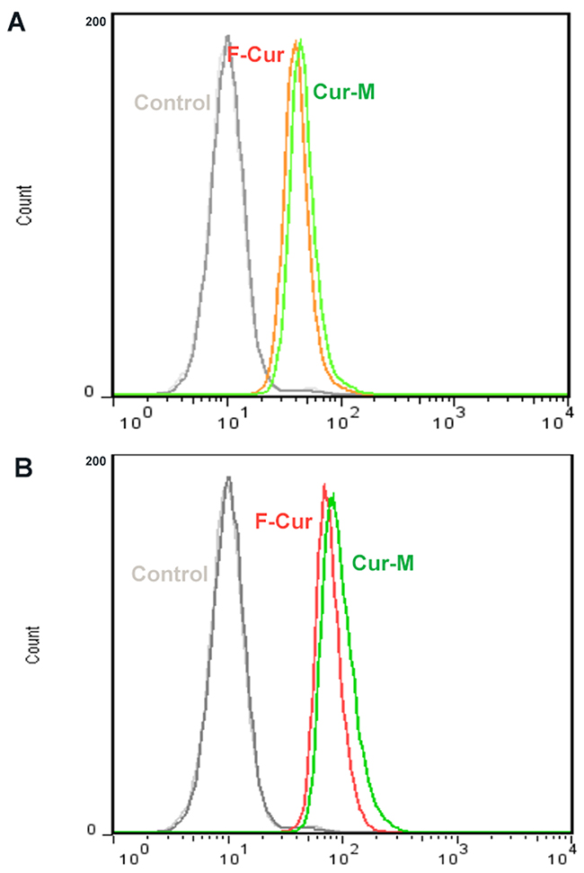 Cellular uptake of free Curcumin and Curcumin/MPEG-PLA.