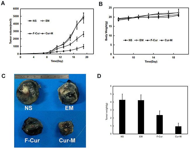 Anti-melanoma effect of Curcumin in subcutaneous B16 model.