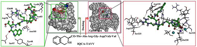 Docking features of IQCA-TAVV in the active site of P-selectin (green box) and GPIIb/IIIa (red box).