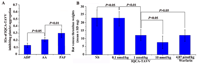 Effects of IQCA-TAVV on platelet aggregation and venous thrombosis.