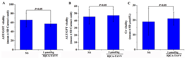 Effects of IQCA-TAVV on mouse Cr, ALT and AST.