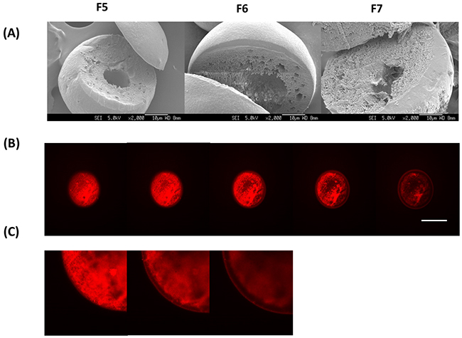 Figure 3: