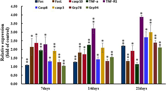 Expression levels of apoptosis associated gens by qRT-PCR.