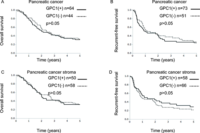 GPC1 protein expression is not correlated with overall survival or recurrence-free survival in pancreatic cancer patients.