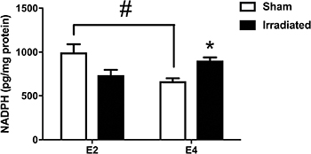 NADPH activity levels in hemi brains of E2 and E4 mice.