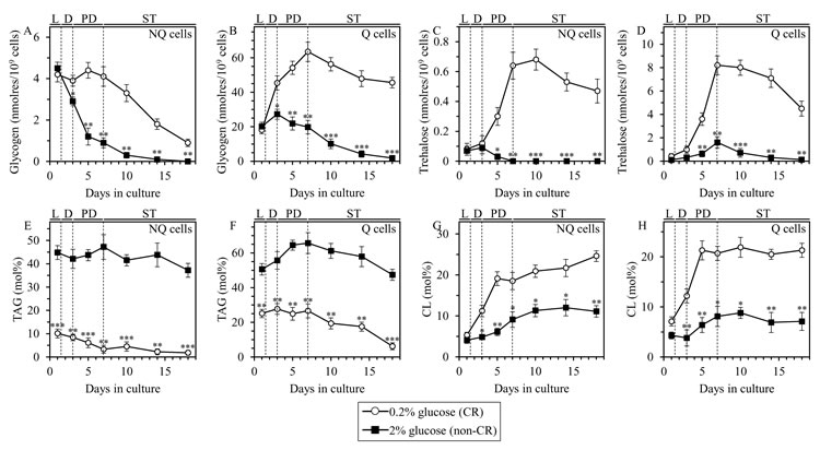 CR alters the abundance of glycogen, trehalose, triacylglycerols (TAG) and cardiolipins (CL) in Q and NQ cell populations through most of the chronological lifespan.