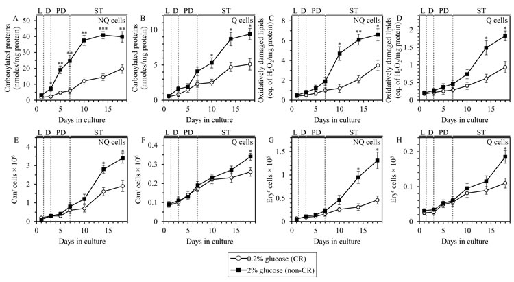 CR lessens the extent of age-related oxidative damage to proteins, lipids, nDNA and mtDNA in Q and NQ cells.