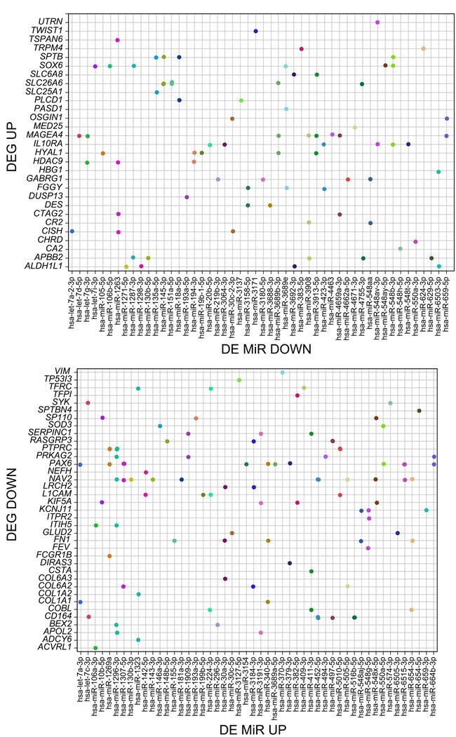 The correspondence between the significantly differentially expressed mRNAs and MiRs upon BORIS KD.