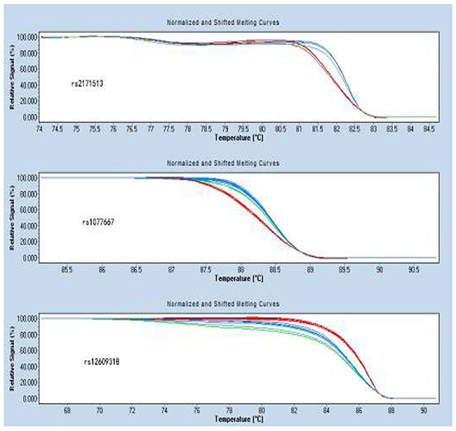 Normalized and shifted melting curves of rs2171513, rs1077667 and rs12609318.