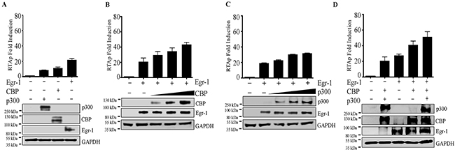 Figure 3: