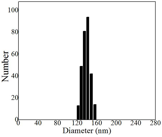 Hydrodynamic diameter distribution of MP loaded nanoparticles determined by DLS.