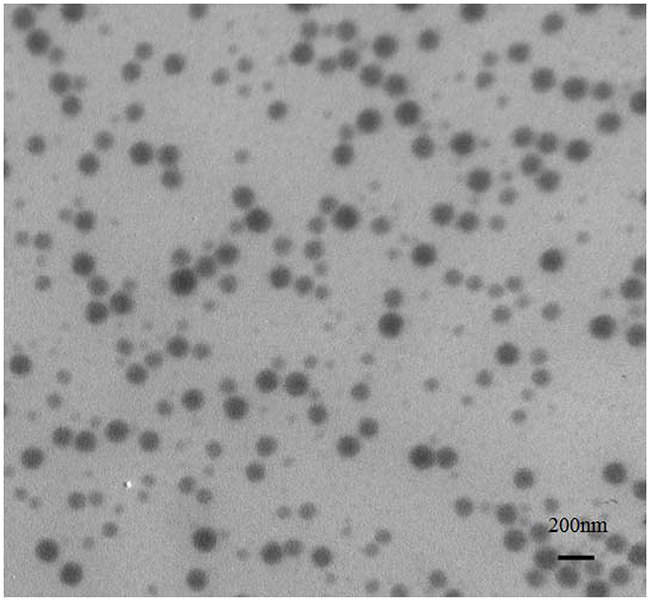 Typical TEM image of the MP loaded nanoparticles based on ibuprofen modified dextran.
