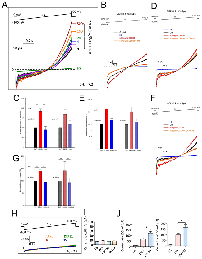 Activation of CatSper currents by CCR6 ligands in human sperm.