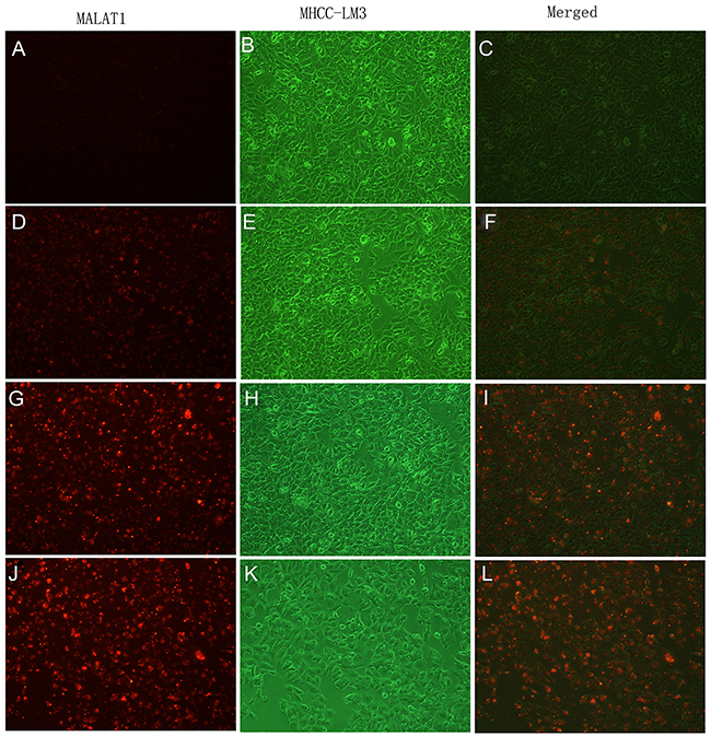 Figure 3: