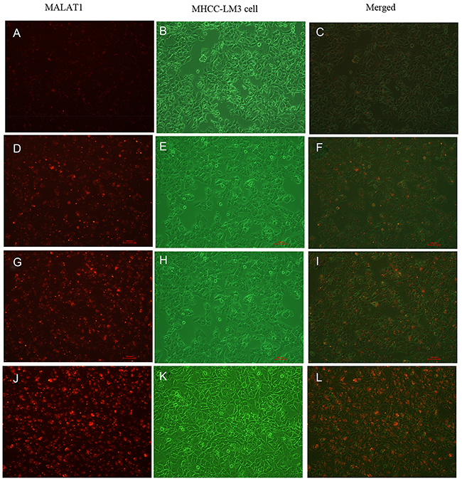 Figure 4: