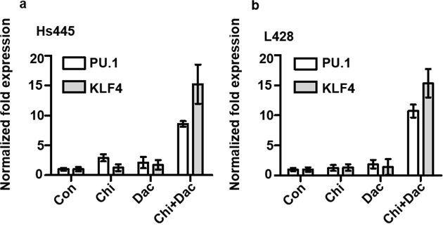 Expression of PU.1 and KLF4 gene after treated with chidamide and decitabine.