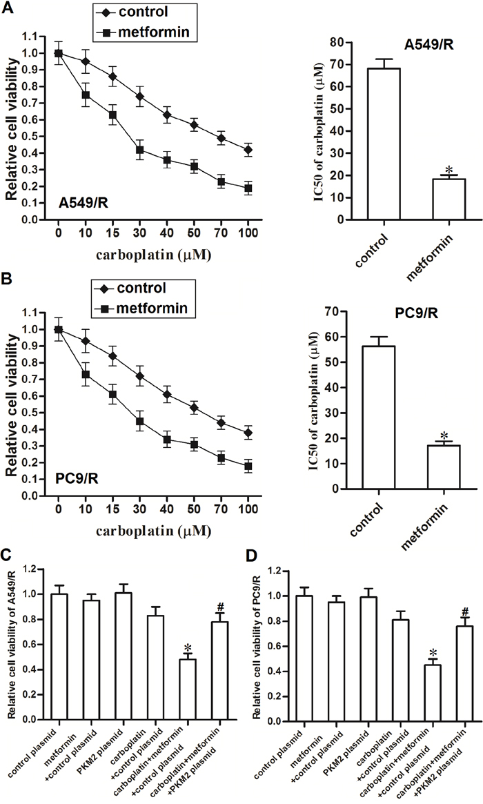 Metformin sensitizes A549/R and PC9/R cells to carboplatin by decreasing the expression of PKM2.