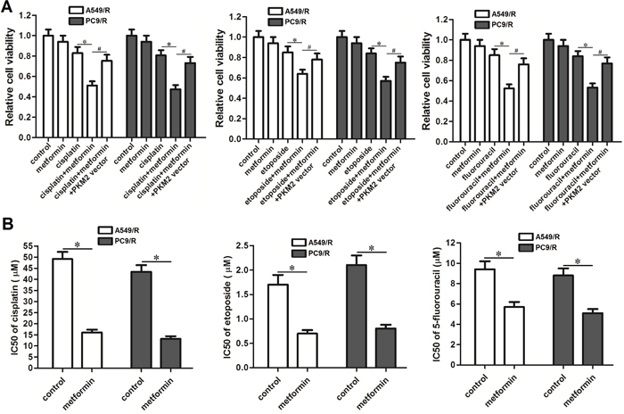 Effect of metformin on reversing the cross-resistance of A549/R and PC9/R.