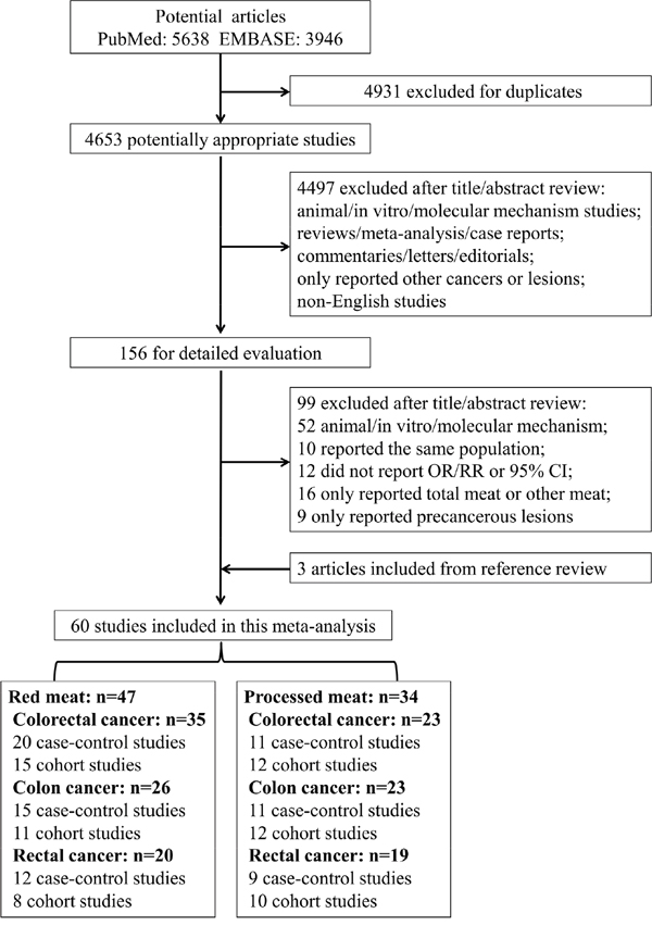 Flowchart of the process for the identification of relevant studies.