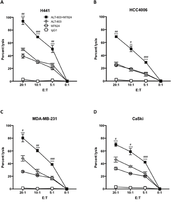 Pretreating NK cells with ALT-803 increases tumor cell lysis and ADCC mediated by M7824.