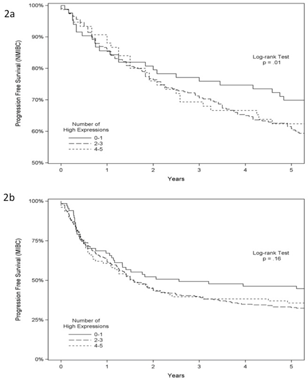 Progression-free survival analysis of 939 patients with bladder cancer.